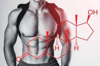 HORMONES & STRESS