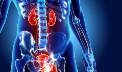 PROSTATE HEALTH